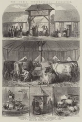 De Internationale Tentoonstelling van Parijs