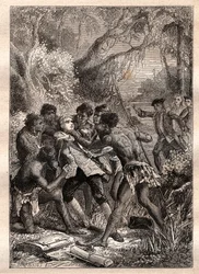 Het avontuur van Barre: gezellin van de botanicus Philibert Commerson, Jeanne Barret (of Bare, Baret, geboren Barer) doet zich onder de naam „Jean Barre“ voor als zijn bediende om hem te vergezellen op de door Bougainville geleide expeditie in 1766, en