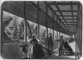 Het aquarium van de Parijse acclimatisatietuin in 1863