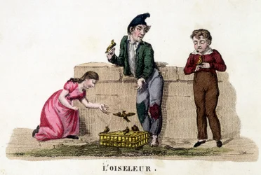 De vogel-vogel - gravure
