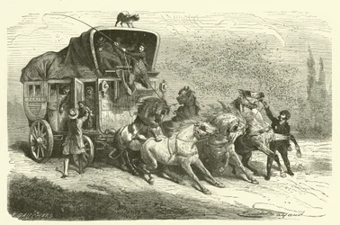 De regen van kevers