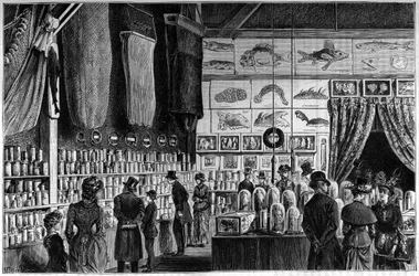 De zoölogische tentoonstelling in het Natuurhistorisch Museum in Parijs, collecties verzameld tijdens de wetenschappelijke expedities van de Worker en Talisman schepen.
