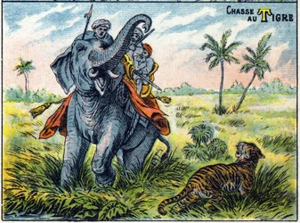 Tijgerjachtscène op de rug van een olifant. Syllabar alfabet van jachten Beeld van Epinal