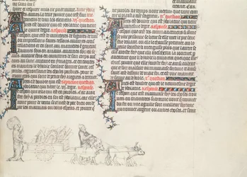 Vervoer van bezittingen in een door ossen getrokken wagen, onvoltooide miniatuur uit De Bijbel van Jean de Sy, ca.1355