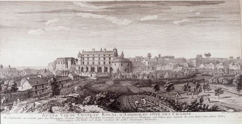 Uitzicht op het Koninklijk Kasteel van Amboise vanaf de kust van de velden