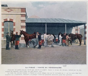 Bezoek van de legerdierenarts aan de kazerne, 1897