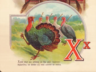 X: Xyste was een plaats voor atleten om te oefenen; vandaag gaat deze kalkoen daarheen als een beginner
