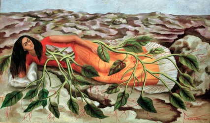 Roots