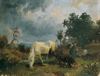 Een schimmel op de heide