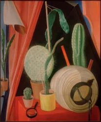 Stilleven met Cactussen