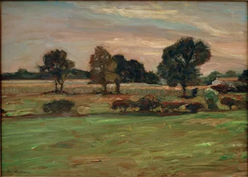 moeraslandschap