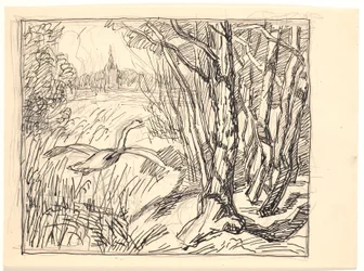 Landschap met Opstijgende Zwaan