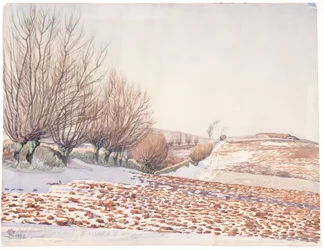 Landschap met wilgen en ploegveld in de sneeuw