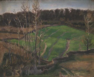 Landschap bij Svanninge met groene wintertarwe