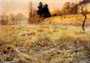 De rijp, c.1900