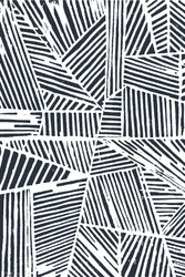 Dynamische geometrische lijnen