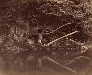 Rivieroever in de Vale of Neath,c. 1855 (foto)