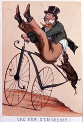 - lithografie door Darlinghe, naar Gosthiaux