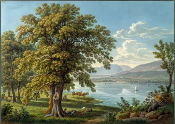 Uitzicht vanaf het eiland St. Petersinsel op het meer van Biel