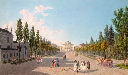 Uitzicht op het Pavlovsk-paleis vanuit het park