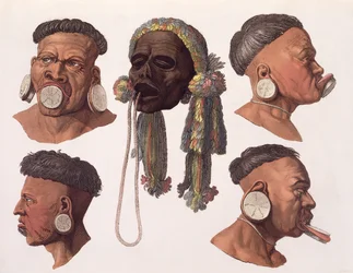 Hoofden van Botocudos-indianen