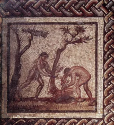 Gallo-Romeinse kunst: mozaïekvloer die een rustieke kalender voorstelt. Scène van het dekken van daken. Eind 2e, begin 3e eeuw na Chr. Uit Saint-Romain-en-Gal (Rhône). Saint Germain en Laye, Nationaal Archeologisch Museum