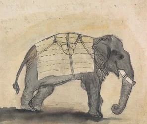 Olifant