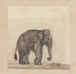 Olifant