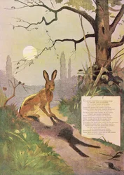 De oren van de haas, uit Fabels van Jean de La Fontaine