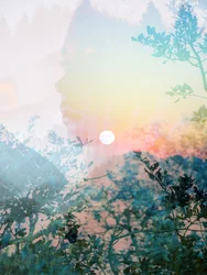 Profiel van Serene Nature