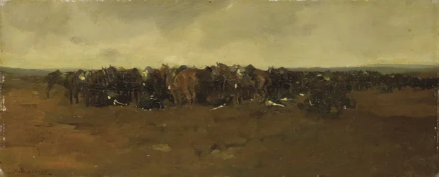 Cavalerie bij rust