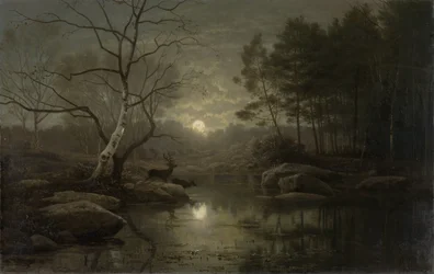 Boslandschap in het Maanlicht