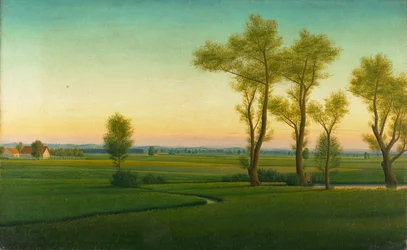 Heidelandschap