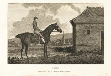 Portret van het volbloed renpaard Otho