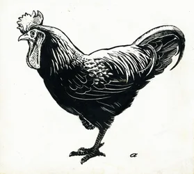 De Hen