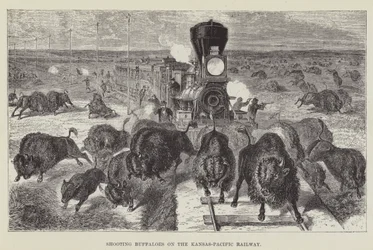 Buffels schieten op de Kansas-Pacific Railway