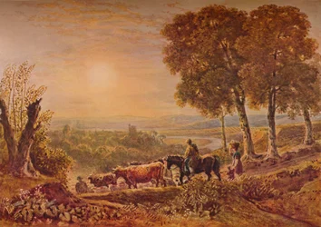 Zonsondergang met vee