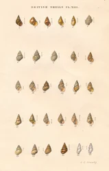 Britse granaten, ca. 1859