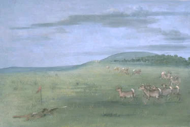 Antilopen schieten, omhoog lokken