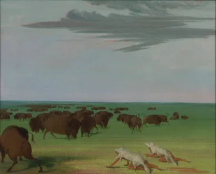 Buffeljacht onder het wolfsmasker