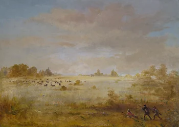 Elanden grazen op een herfstige prairie