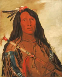 Né-hee-ó-ee-wóo-tis, Wolf op de heuvel, stamhoofd, 1832