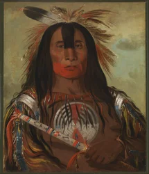 Stu-mick-o-súcks, Buffalo Bull