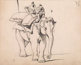 Een olifant