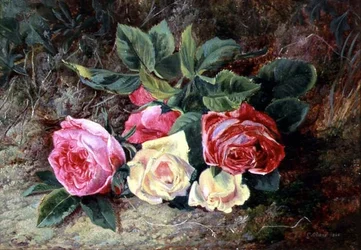 Rozen, 1865
