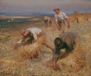 Schoven Binden
