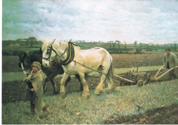Ploegen