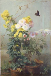Herfstzon