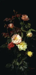 Rozen