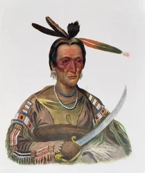 To-Ka-Cou, een Yankton Sioux Hoofd, 1837, illustratie uit 
